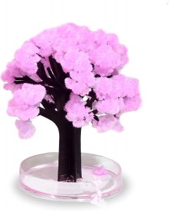 árbol pequeño rosa sakura