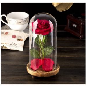 Rosa en cúpula de cristal
